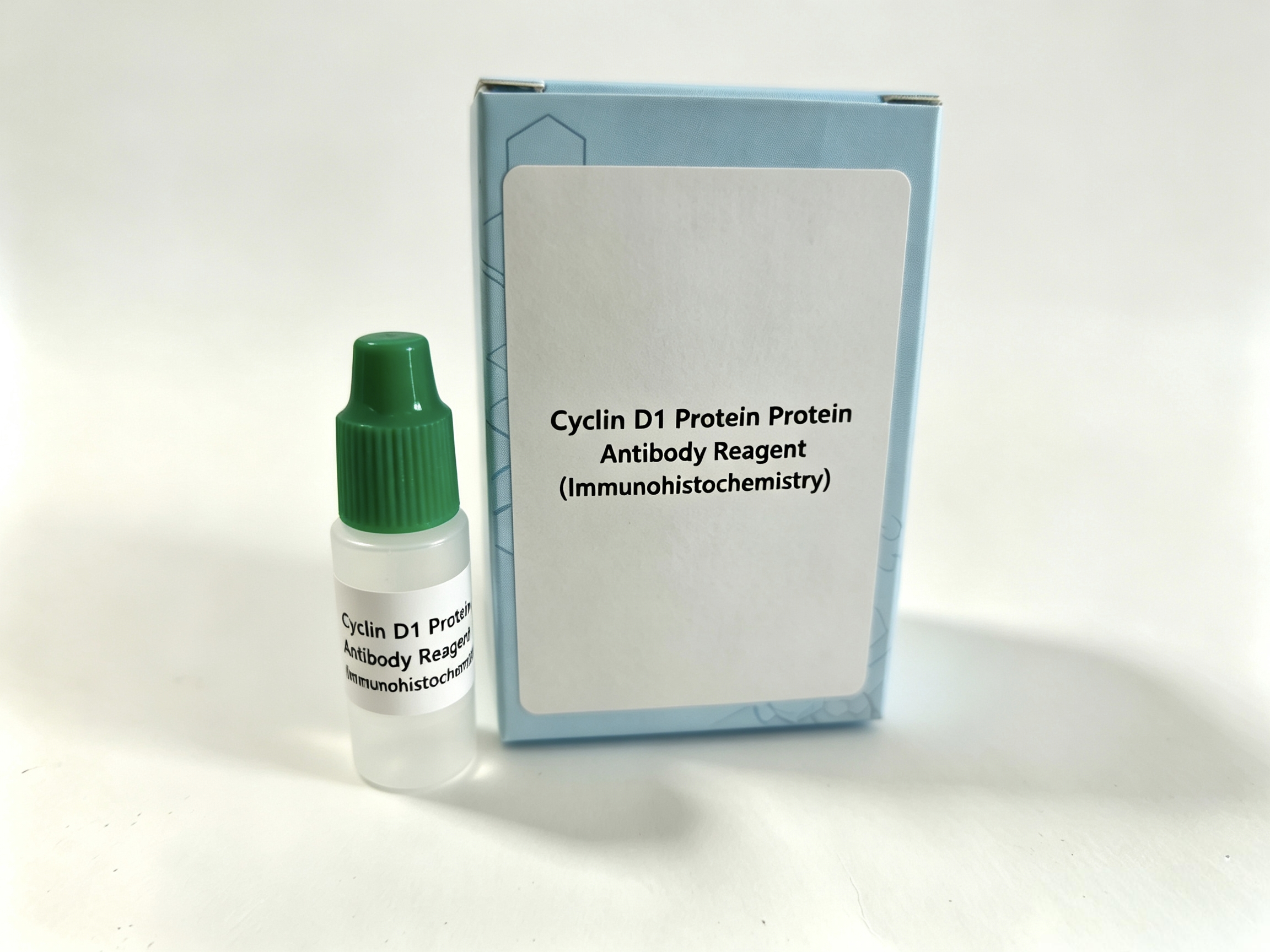 Zecen Cyclin D1 Antibody (IHC)