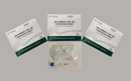 Zecen E7 Oncoprotein Rapid Test Card (Colloidal Gold, Cervical Cancer Screening)